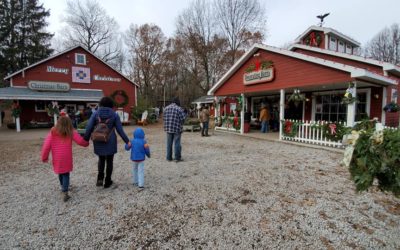 At Least Four Free Fun Family Activities for the Holiday Season